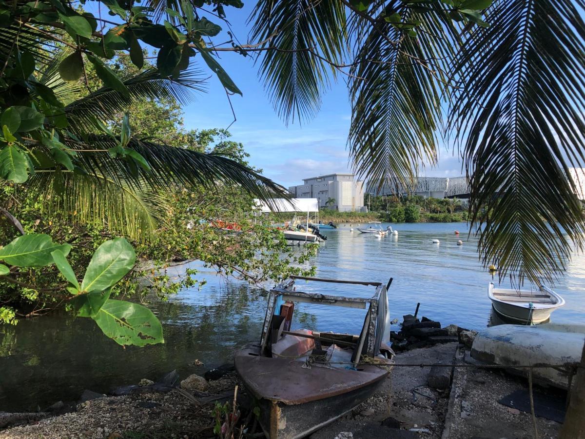 Appartement Avec Vue Panoramique De Pointe-A-Pitre Eksteriør bilde