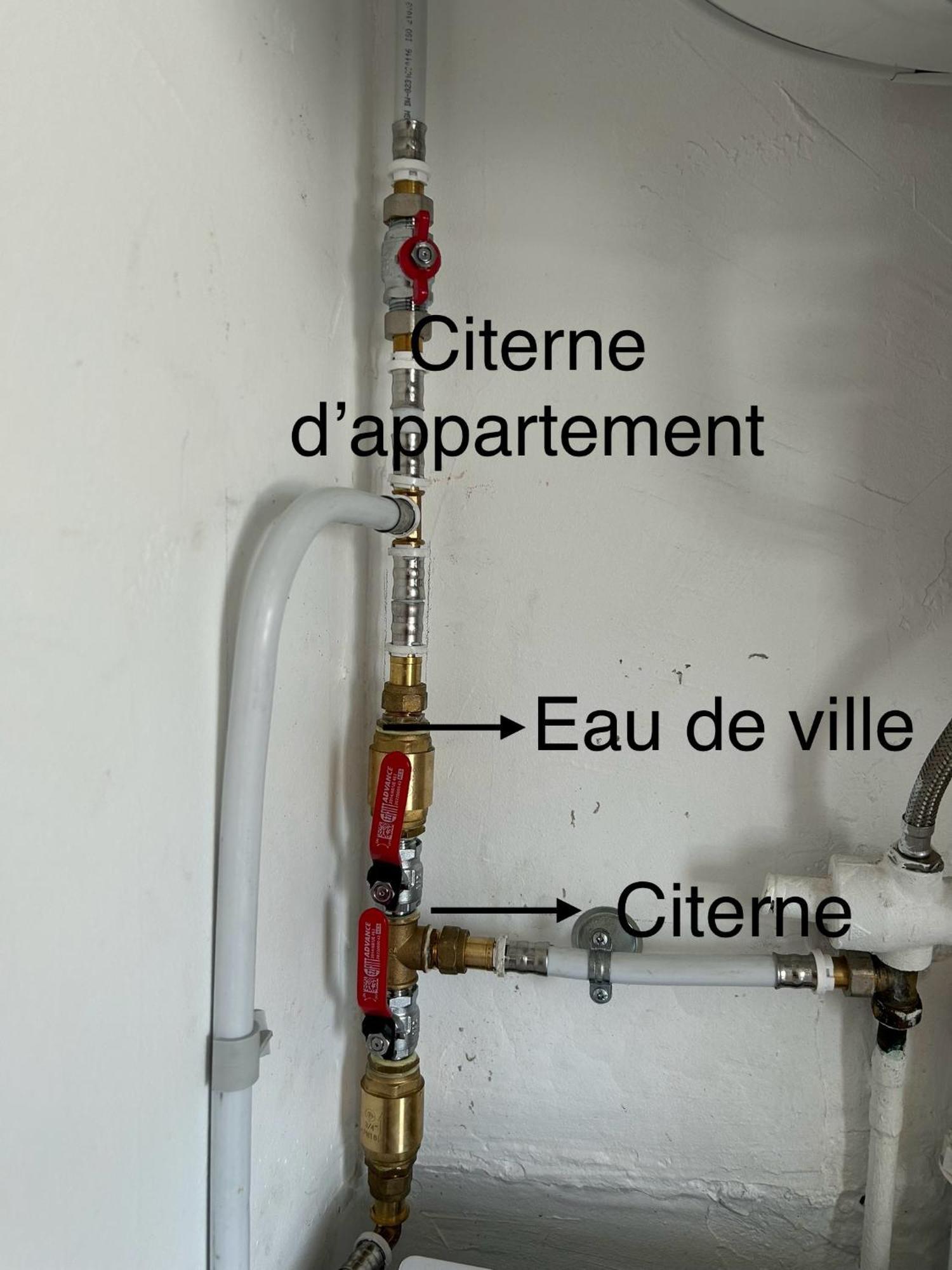 Appartement Avec Vue Panoramique De Pointe-A-Pitre Eksteriør bilde
